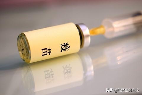 动物星球 史帝夫:动物们都懂天垂象！就人类不懂？为什么人还觉得自己聪明高级呢？