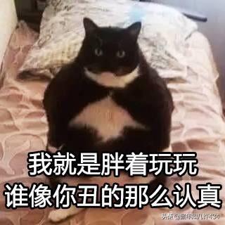 可爱萌宠图片:图片可爱萌萌哒头像 大家有没有什么萌宠表情包？越沙雕越可爱越好？