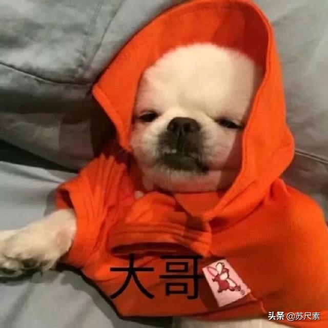 有哪些可以哄男朋友开心的表情包