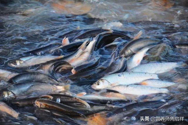 女人补钙过量:补钙太多会补成骨质增生吗？