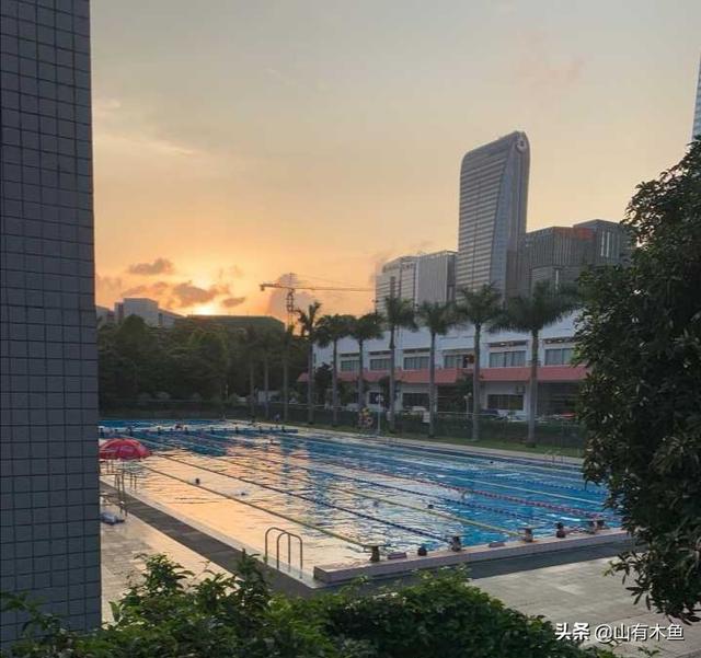 深圳大学灵异事件:考上深圳大学是什么样的体验？