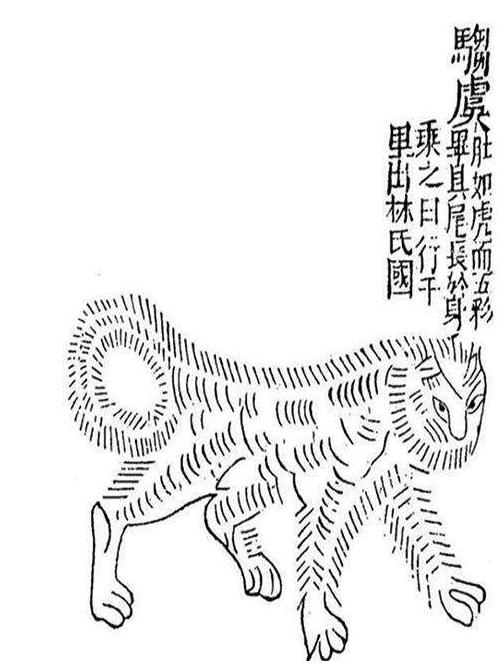 驺虞是什么动物，为何古代战场上，只要一举“驺虞幡”，就能消兵散将、阻止战争