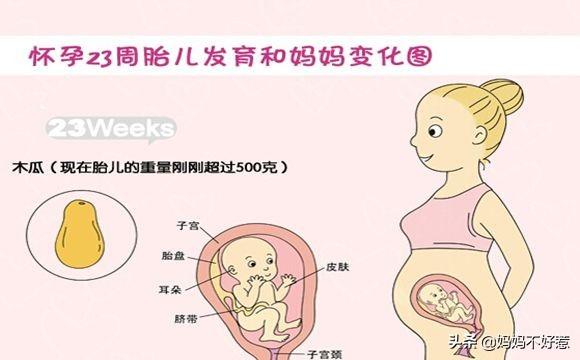 头条问答 怀孕23周了是个男宝宝孩子也很好 要去做引产男方不陪着怎么办 妈妈不好惹的回答 0赞