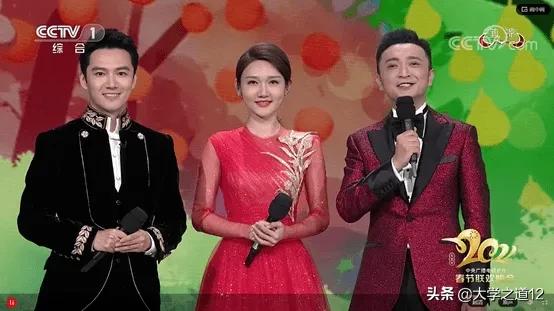尹颂主持人:为什么《中国诗词大会》节目主持人董卿被换掉了