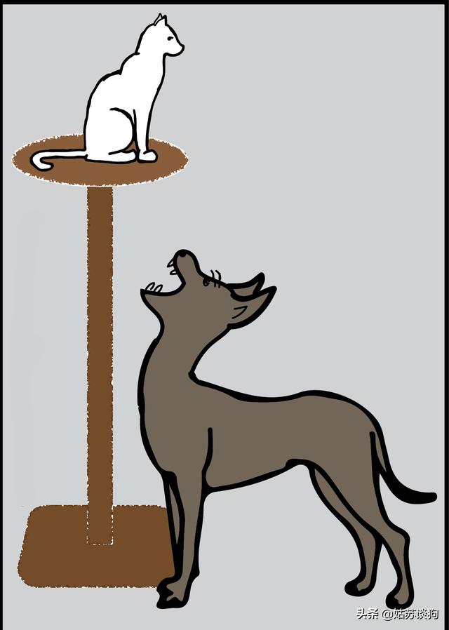 猫狗大战小游戏:为什么猫和狗打架，狗总是打不过猫呢？