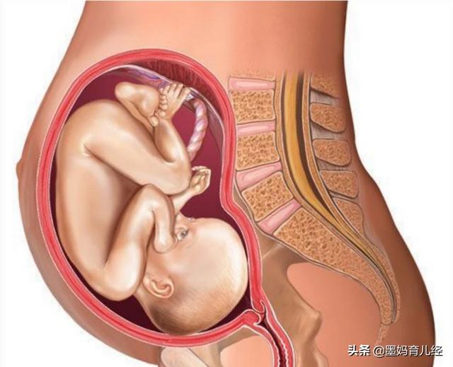 7个月的宝宝发育标准(三个月宝宝发育迟缓)