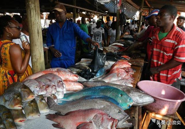 中国人为啥不吃深海鱼，非洲海鲜多到泛滥，为什么当地人死活不愿意吃