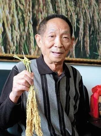 果静林:你希望拍一部袁隆平一生的电视剧吗？你认为谁出演最合适？