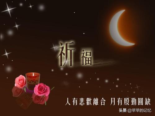 哈尔滨猫脸老太太事件:宠物，无辜老人，谁之过？