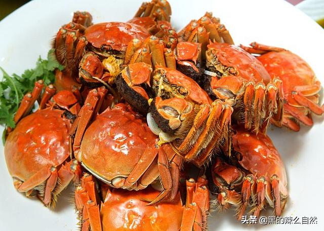大闸蟹配红酒，哪里的大闸蟹最出名最好吃吃大闸蟹可以配上绍兴的花雕酒吗