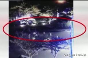 发现大蛇:天镜湖大蛇究竟是谁先发现的