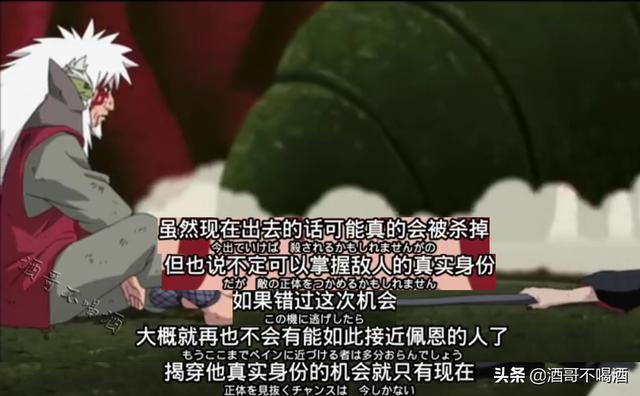 纯种西帕凯犬:如果是迈特凯和卡卡西去雨忍村获取情报，能够全身而退吗？