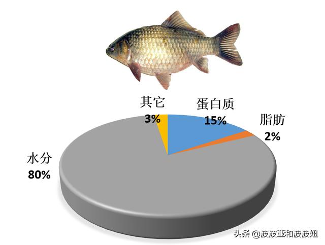 小鱼吃吃吃攻略:我家猫咪每天一碗新鲜小鱼合适吗？