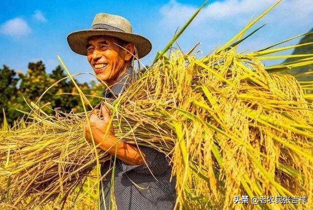 中国未来的新农民,突破的方向在哪里?(如何找到自己的方向?