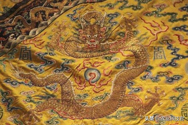 gucci狗年波士顿梗犬刺绣25:请说出你知道的一些奢侈品品牌？