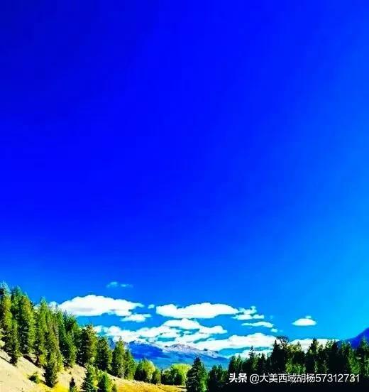 安徽的十大污染之一就是养鸭子，农村地区已经深受其害，有没有什么方法解决？插图12