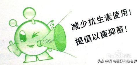 免疫球蛋白动物性饲料:无抗饲料时代来临，如何做好猪场保健？同道之人，分享一下？