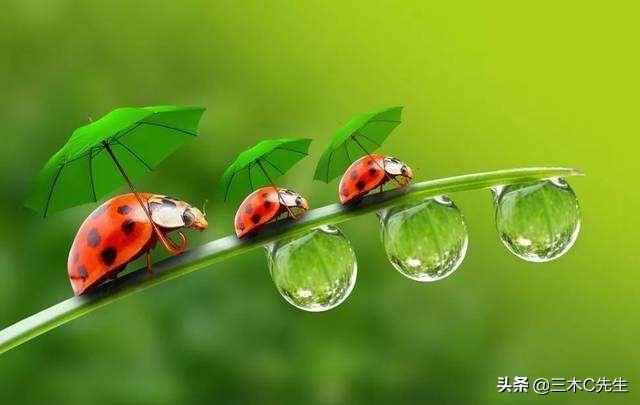 败财怎么化解,怎样才能化解仇恨和愤怒？