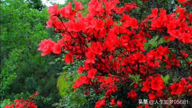 你去过哪些非常小众却又特别美的景点？插图67