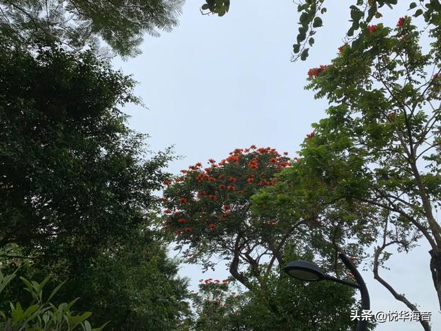 刚认识的男生,被撩太猛了,我把他删了,又不舒服咋办？