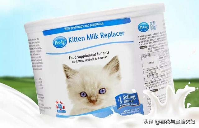 刚睁眼的小猫吃什么:刚睁眼的小猫没有羊奶粉喂怎么办。可以喂牛奶嘛？