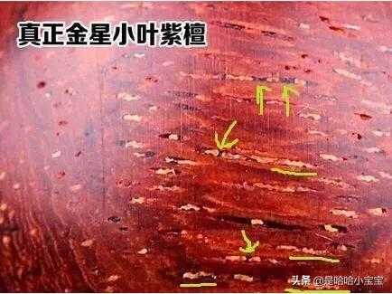 金星资料:小叶紫檀金星是怎么形成的，金星是什么样的