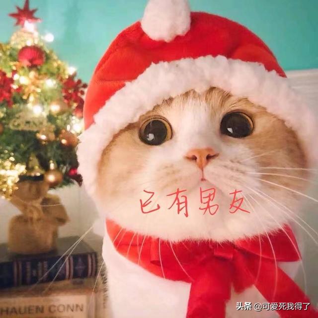 独一无二的女生微信名2019:第一次把女朋友隆重的公布出来，怎么发<a href=https://maguai.com/list/256-0-0.html target=_blank class=infotextkey><a href=https://maguai.com/list/256-0-0.html target=_blank class=infotextkey>朋友圈</a></a>比较高大上？