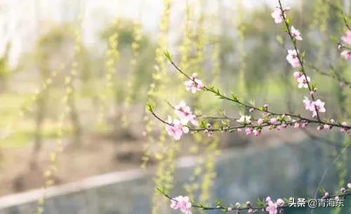 居庸关花海:北京自由行旅游必去的景点有哪些？