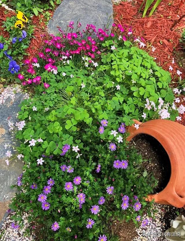 家住别墅是什么样的感觉？插图79