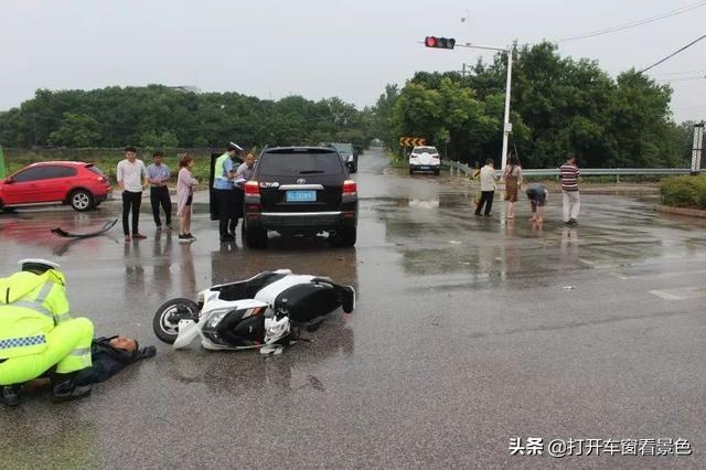 狗狗绿灯过马路:狗狗不是色盲么，怎么会有狗狗等绿灯过马路的新闻？