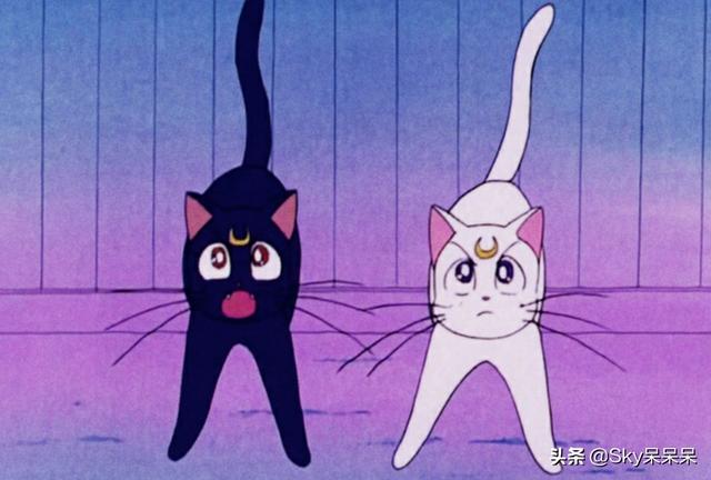 卡尔特猫动漫图片:日本动漫中有哪些知名的猫？