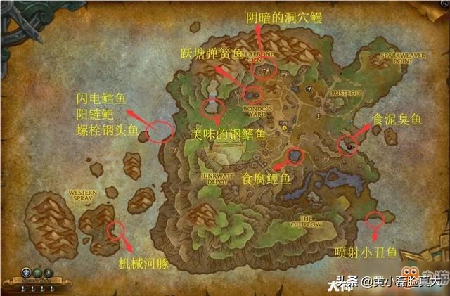 珍宝斑马鱼在哪里掉:在加拿大温哥华钓珍宝蟹会被罚款吗？