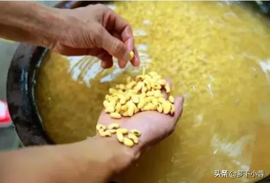 植物必需的营养元素:化肥中的氮、磷、钾对植物分别有什么作用？