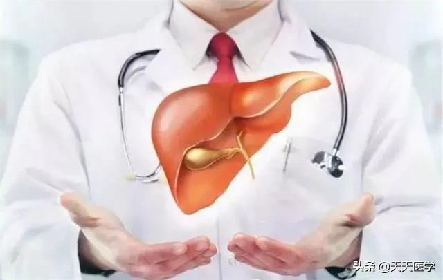 慢性肝炎的表现:慢性肝病有哪些表现症状？如何调养可保健我们的肝脏功能呢？
