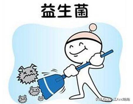 成犬哈士奇吃什么狗粮好:养哈士奇应该都喂它吃什么呢？