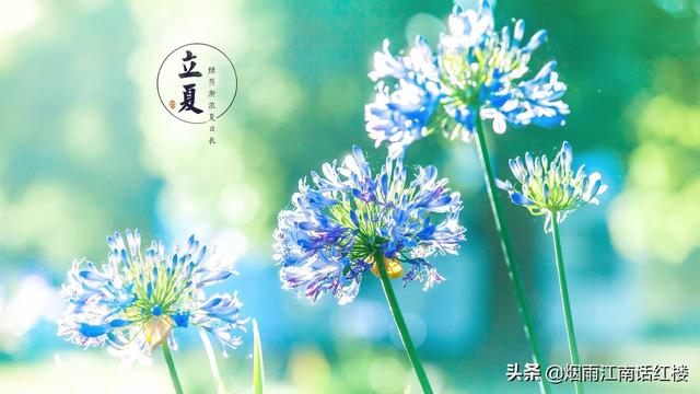 立夏为什么要斗蛋:在立夏这一天有什么习俗吗？