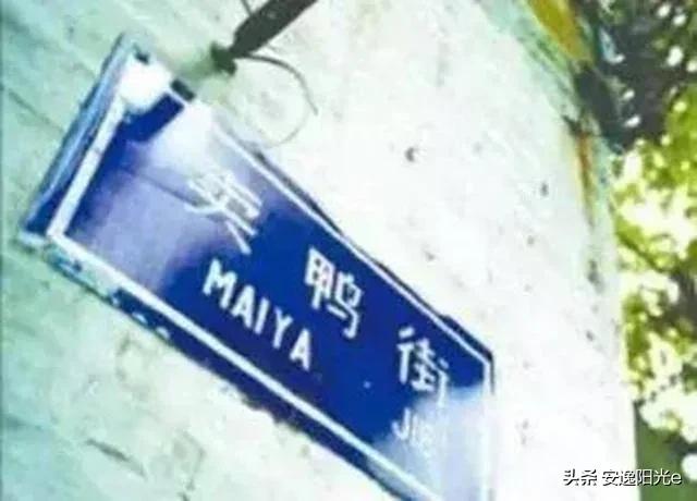 哥伦比亚盆地侏儒兔的个人空间:你见过哪些奇特的街名或巷名？