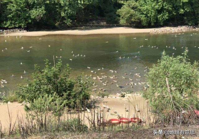 安徽的十大污染之一就是养鸭子，农村地区已经深受其害，有没有什么方法解决？插图6