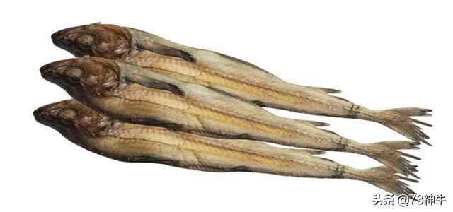 深海巨腹鱼在哪钓:深圳最流行的海钓是什么玩法？每次出钓费用大概多少？