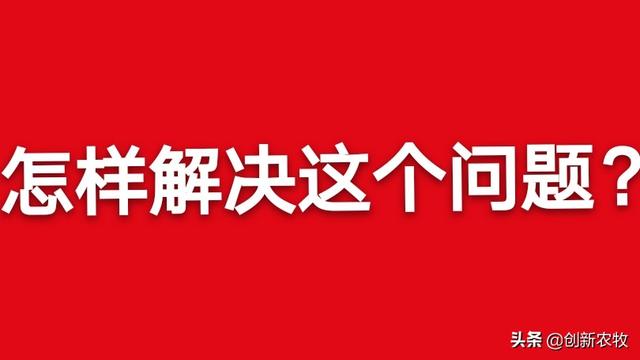 猪拉血便是什么原因:四十斤猪仔突然不吃料，没精神还拉血出来是怎么回事？
