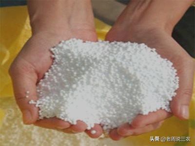 一条反刍的狗 下载:狗明明鼻子那么灵，为什么翻垃圾或者吃粑粑不会觉得受不了？