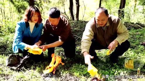 平等王:赘婿大结局宁立恒当上皇帝了吗？宁毅有几个女人几个孩子？