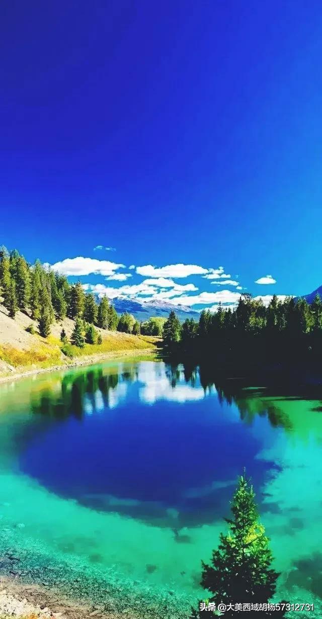 安徽的十大污染之一就是养鸭子，农村地区已经深受其害，有没有什么方法解决？插图11