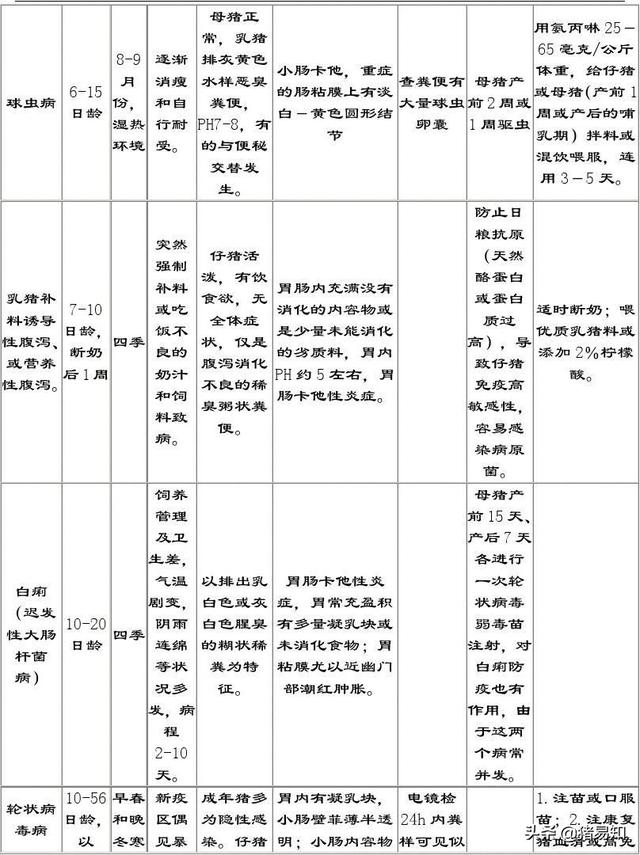 猪传染性胃肠炎的症状及治疗:3日龄猪感染流行性腹泻怎么办？