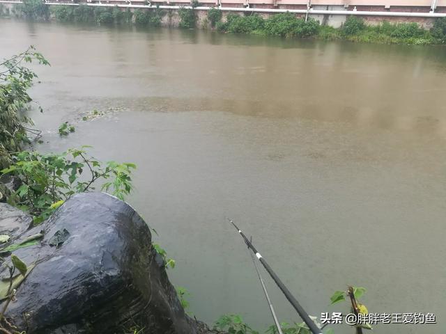 矶竿,水滴竿,中通竿哪款好？