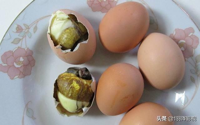 农家特色毛鸡蛋却越吃越上瘾，你吃过像毛蛋这样的食物吗