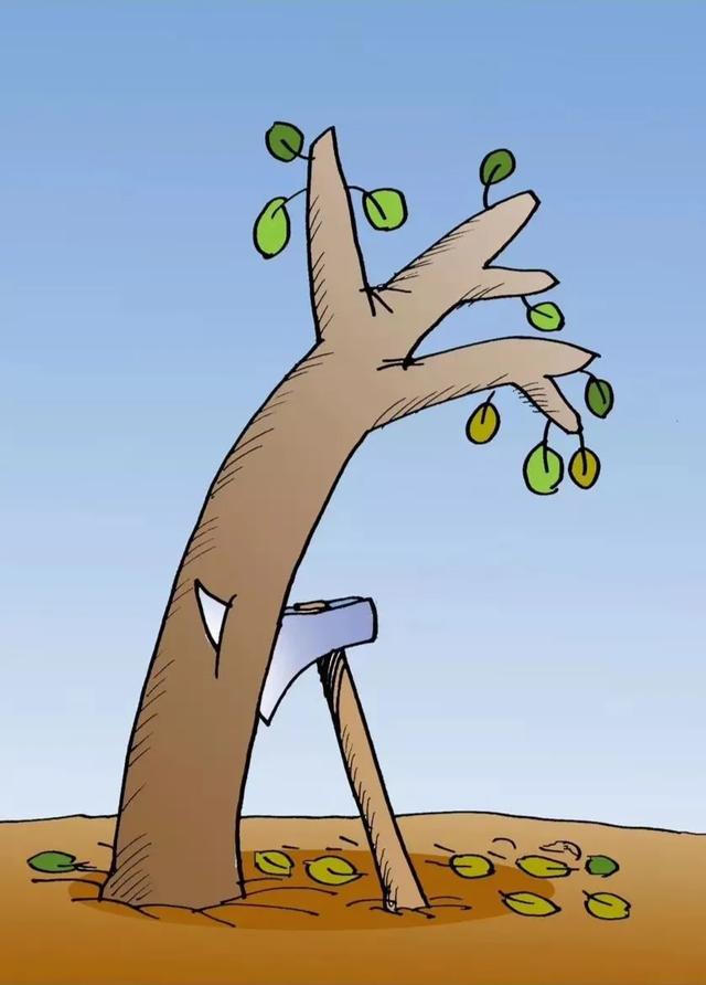 讽刺视频自媒体(你认为当今社会最讽刺的现象是什么?