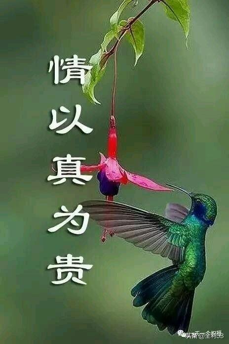 人相处不具备真诚和信任,就无法沟通和交流感情,与人相处必须以诚相待