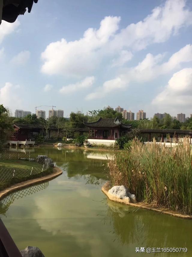 斗牛犬躲冰箱避暑视频:为什么小时候感觉不到夏天热，现在不开空调根本受不了？ 斗牛犬吃醋睡觉视频