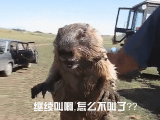 320_240gif 动态图 动图
